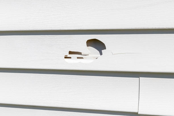 Siding for Commercial Buildings in Mckinleyville, CA