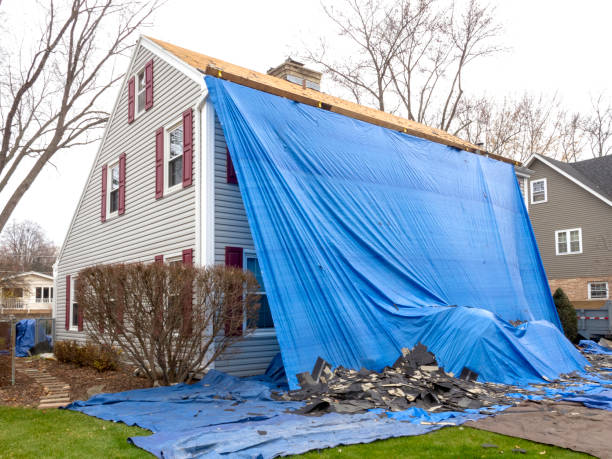 Affordable siding repair and maintenance services in Mckinleyville, CA